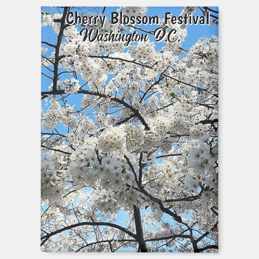 ワシントンD.C. 桜祭り お土産 マグネット (正面)