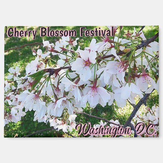 ワシントンD.C. 桜祭り マグネット (正面)