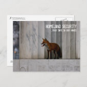 ワシントンD.C.、: 自国の保安のユーモア ポストカード (正面/裏面)