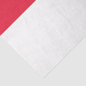 ワシントンD.C. (District of Columbia)Tis国旗 薄葉紙 (詳細)