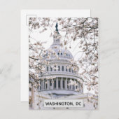 ワシントンDCさくらんぼ花旅行写真 ポストカード (正面/裏面)