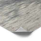 ワシントンdcさくらんぼ花 ポスター (角)