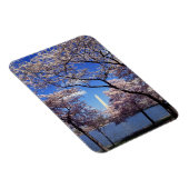 ワシントンDCのさくらんぼの花 マグネット (右側)