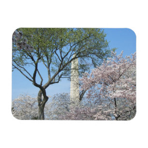 ワシントンDCの桜とワシントンモニュメント マグネット