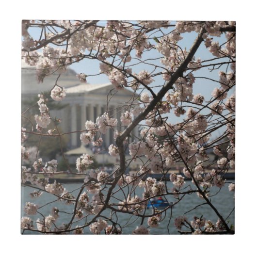 ワシントンDCの桜の花 タイル (正面)