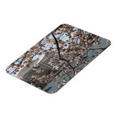ワシントンDCの桜満開 マグネット (左側)