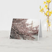 ワシントンDCの桜 カード (黄色い花)