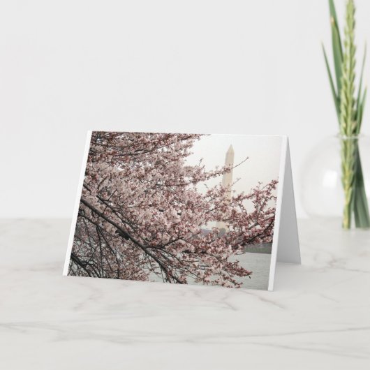 ワシントンDCの桜 カード (正面)