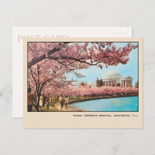 ワシントンDCジェファーソン記念さくらんぼ花 ポストカード (正面/裏面)