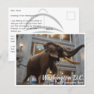 ワシントンDCスミソニアン博物館 ポストカード