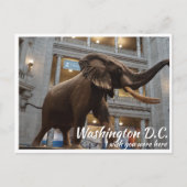 ワシントンDCスミソニアン博物館 ポストカード (正面)
