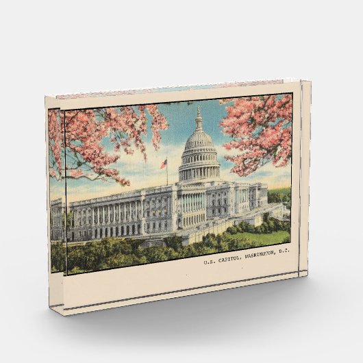 ワシントンDCポストカードUSキャピトルさくらんぼの花 フォトブロック (左)