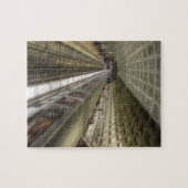 ワシントンDCメトロ鉄道駅 ジグソーパズル (横)