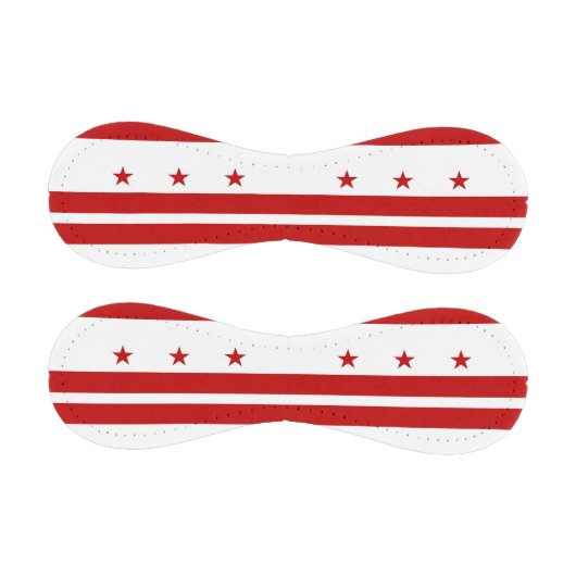 ワシントンDC州旗を持つ愛国野球 野球ボール (パネル)