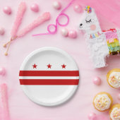 ワシントンDC州旗 ペーパープレート (パーティー)