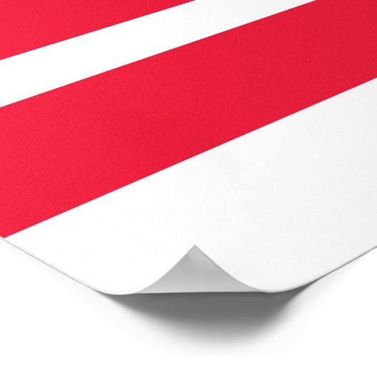 ワシントンDC州旗 ポスター (角)