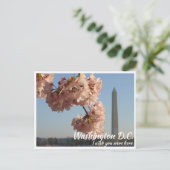 ワシントンDC ジェファーソン記念館の桜の木 ポストカード (スタンド正面)