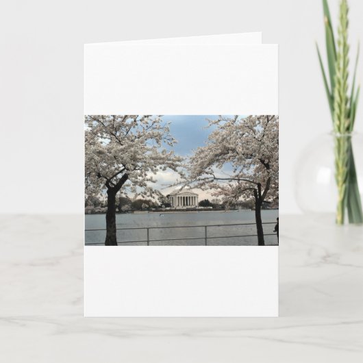 ワシントンDC　ジェファーソン記念館　桜 カード (正面)