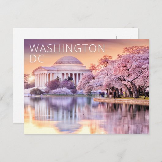 ワシントンDC ジェファーソン記念館 桜 ポストカード (正面/裏面)