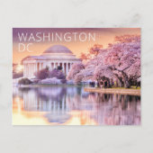 ワシントンDC ジェファーソン記念館 桜 ポストカード (正面)