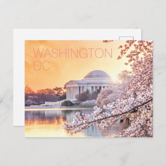 ワシントンDC ジェファーソン記念館 桜 ポストカード (正面/裏面)
