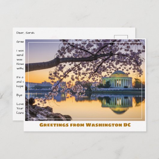ワシントンDC チェリーの枝のジェファーソン記念館 ポストカード (正面/裏面)