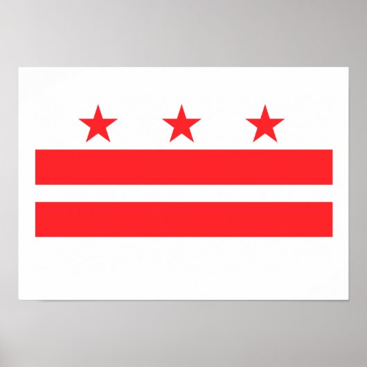 ワシントンDC ポスター (正面)