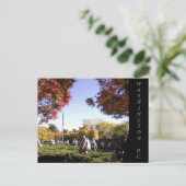 ワシントンDC ポストカード (スタンド正面)