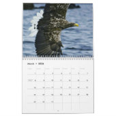 ワシ2017のカレンダーの世界 カレンダー (3月 2026)