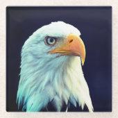 ワシ ガラスコースター (正面)