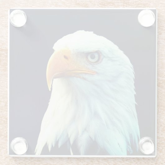 ワシ ガラスコースター (裏面)