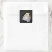 ワシ スクエアシール (バッグ)