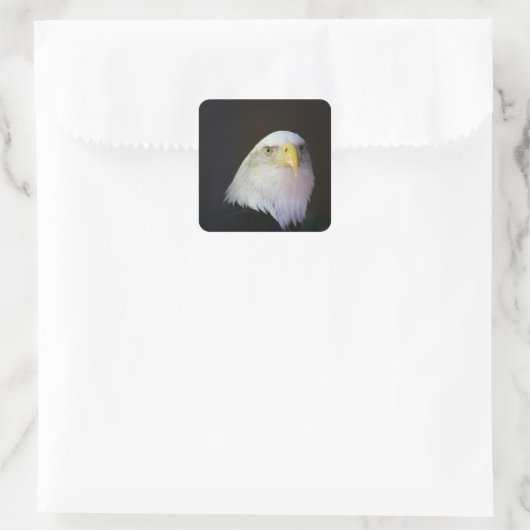 ワシ スクエアシール (バッグ)