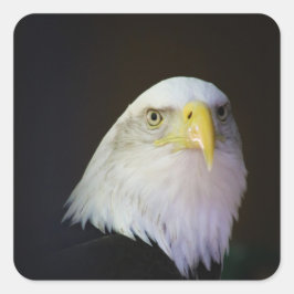 ワシ スクエアシール