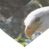 ワシ テーブルクロス (アングル)