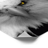 ワシ ポスター (角)