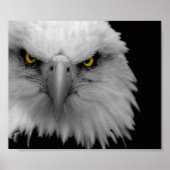 ワシ ポスター (正面)