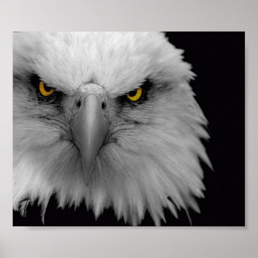 ワシ ポスター (正面)