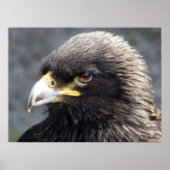 ワシ ポスター (正面)