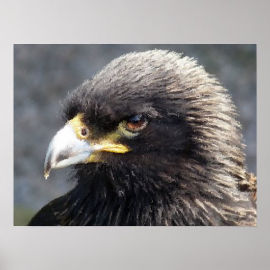 ワシ ポスター (正面)