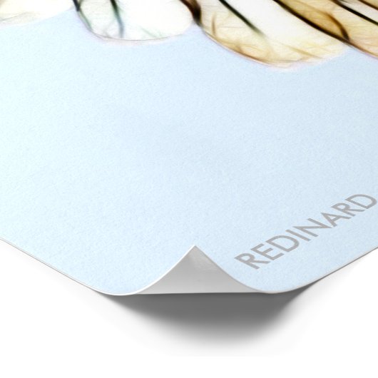 ワシ ポスター (角)