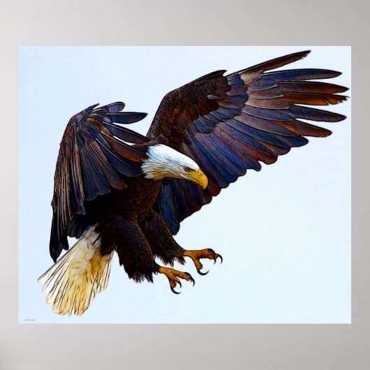 ワシ ポスター (正面)