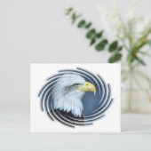 ワシ ポストカード (スタンド正面)