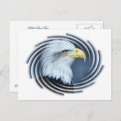 ワシ ポストカード (正面/裏面)