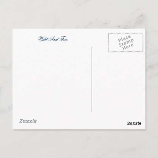 ワシ ポストカード (裏面)