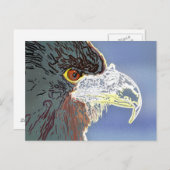 ワシ ポストカード (正面/裏面)