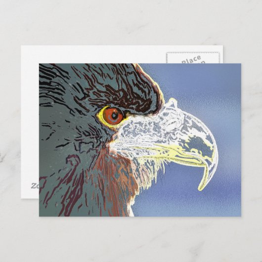 ワシ ポストカード (正面/裏面)