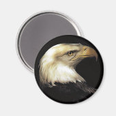 ワシ マグネット (正面/裏面)