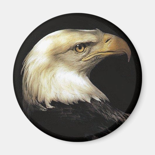 ワシ マグネット (正面)