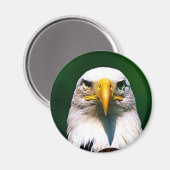 ワシ マグネット (正面/裏面)